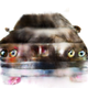 Illustration for article titled This Bad Internet Thing Turns Cars Into Nightmares